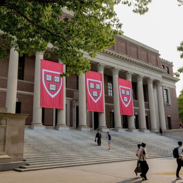 Politics: harvard is destroying itself over 'diversity' — and the