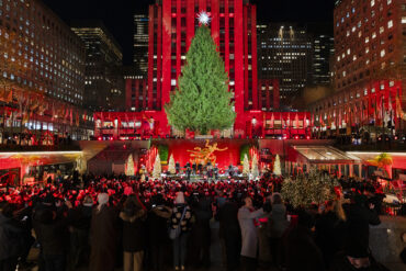 Politics: learn the lesson of christmas unity — or politics