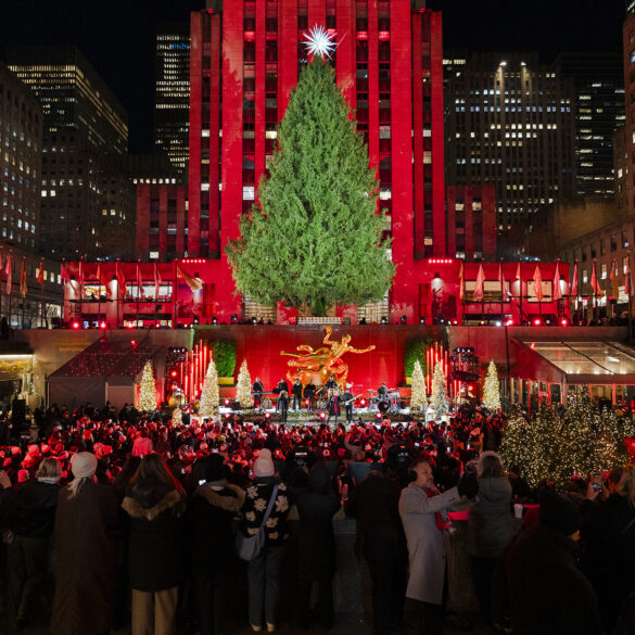 Politics: learn the lesson of christmas unity — or politics