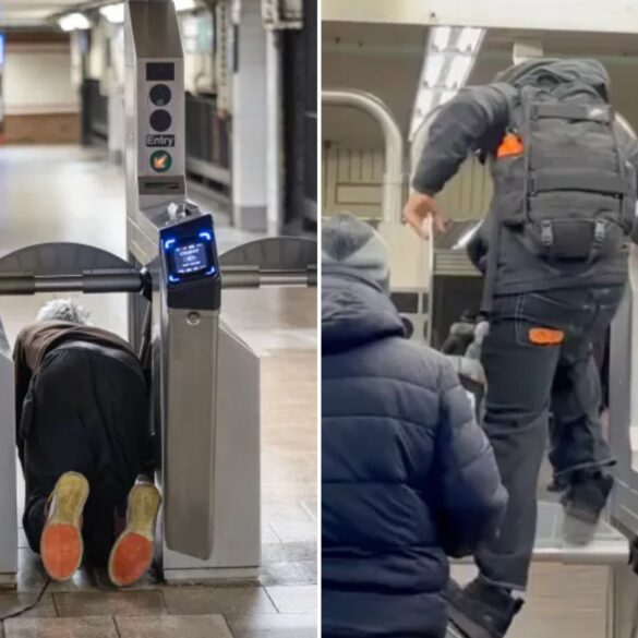 Politics: mta's $7.3m 'fins' are a joke — and a gift