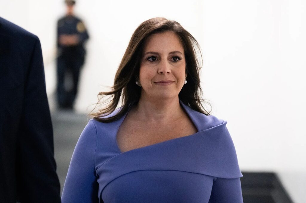 Politics: michael goodwin: elise stefanik's withdrawal could open the door