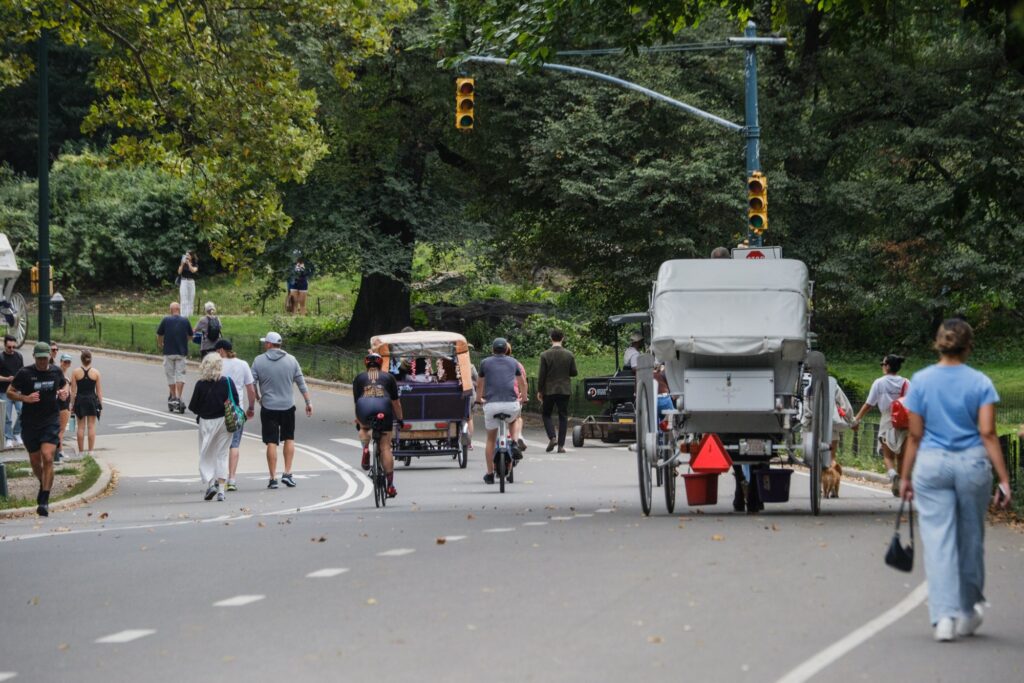 Politics: plan to bring more deadly e bikes to central park