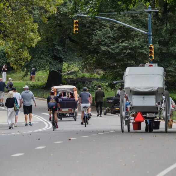 Politics: plan to bring more deadly e bikes to central park