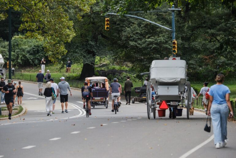Politics: plan to bring more deadly e bikes to central park