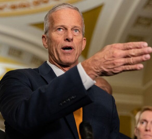 Politics: republicans’ 2025 rollercoaster comes to an end. or is