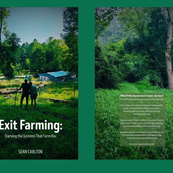 Politics: trading cubicles for crops: one couple’s ‘exit’ from the