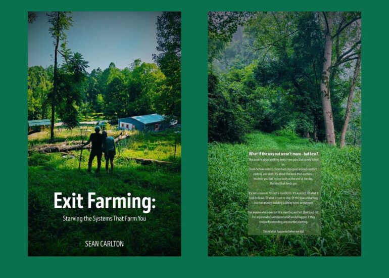 Politics: trading cubicles for crops: one couple’s ‘exit’ from the