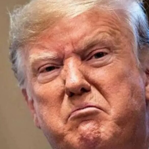 You Won't Believe What happened at Trump's Cabinet Meeting Press Conference!