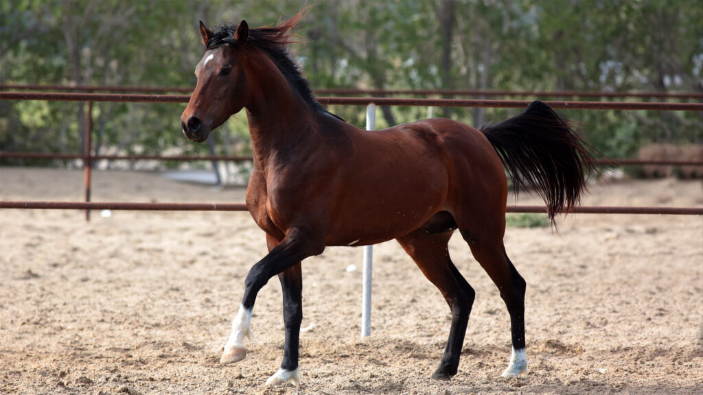 Satire news: clinic closures force more rural americans to rely