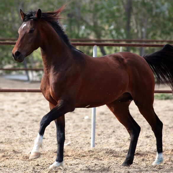 Satire news: clinic closures force more rural americans to rely