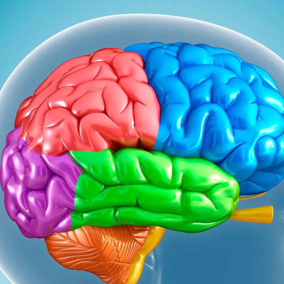 Satire news: how screen time affects childhood brain development