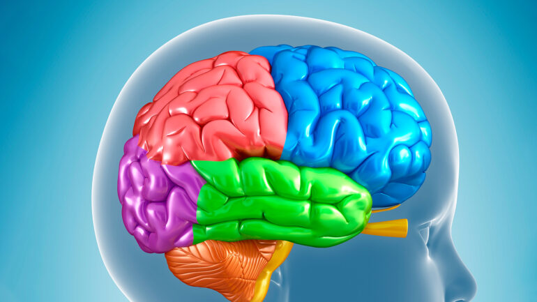 Satire news: how screen time affects childhood brain development