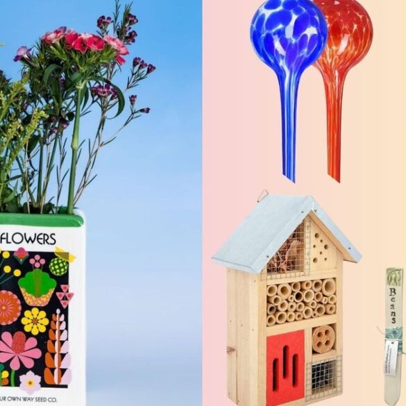 Travel & lifestyle: 27 gifts for plant lovers | huffpost life