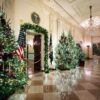 The theme of the 2025 White House Christmas decorations is "Home Is Where The Heart Is."