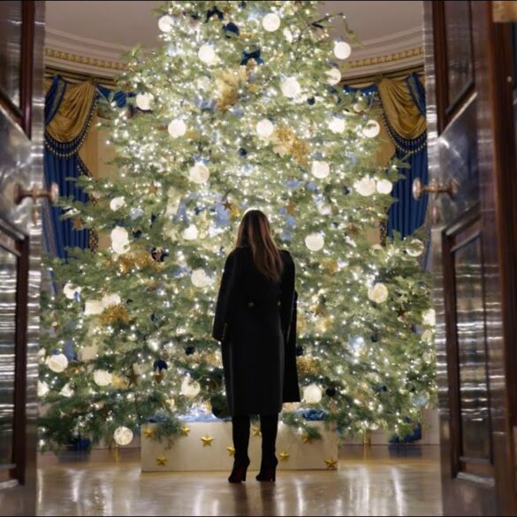 2025 Christmas Decorations at the White House