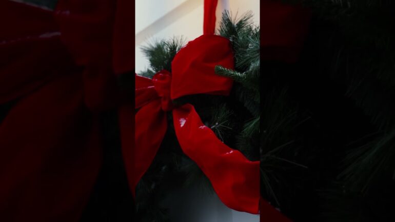 First Snow at The White House - 2025