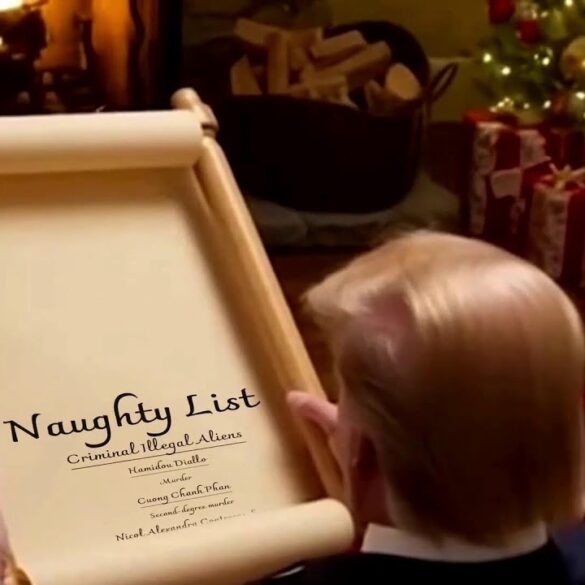 Lo-fi Criminal Illegal Alien Naughty List