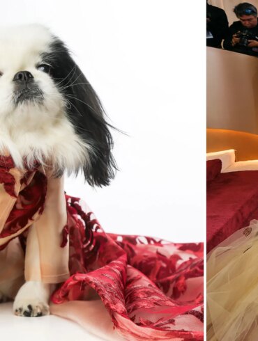 GOSSIP & RUMORS: NYC dogs recreate celeb looks from the