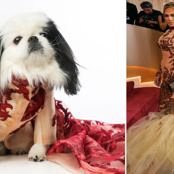 GOSSIP & RUMORS: NYC dogs recreate celeb looks from the