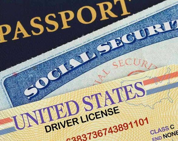 Passport, social security card, and drivers license.