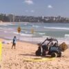 Multiple Shark Attacks Within Two Days, 12-Year-Old Boy Dies * 100PercentFedUp.com * by Danielle