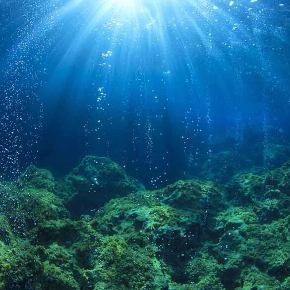 Underwater view showing sunlight rays penetrating the ocean surface with bubbles rising