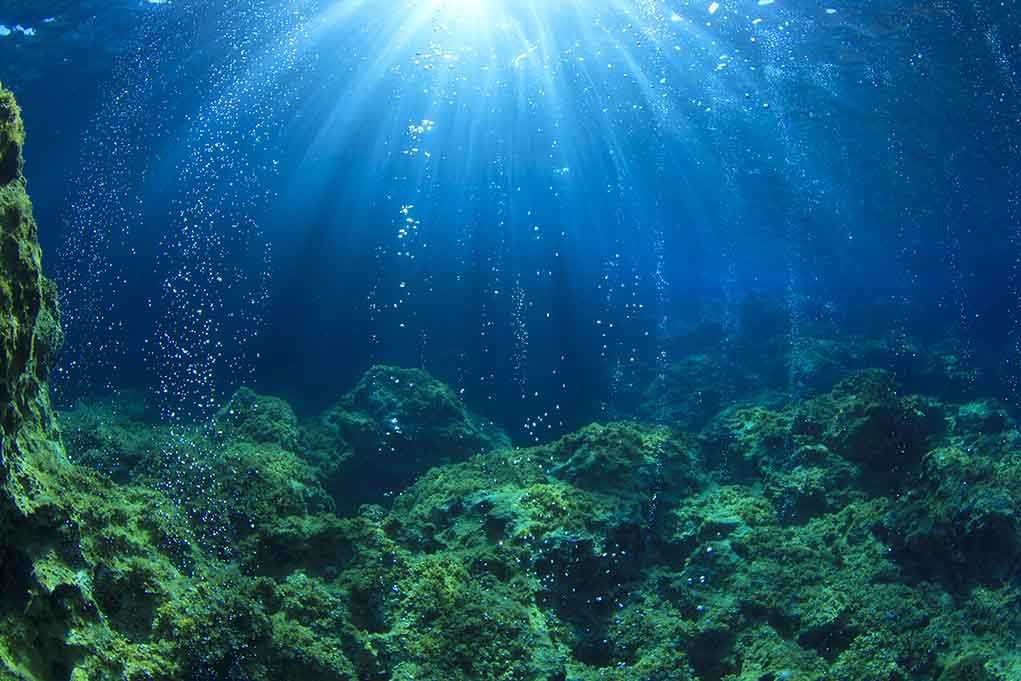 Underwater view showing sunlight rays penetrating the ocean surface with bubbles rising