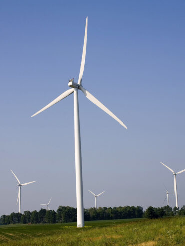 Politics: blue states blow hot air on wind power boondoggles