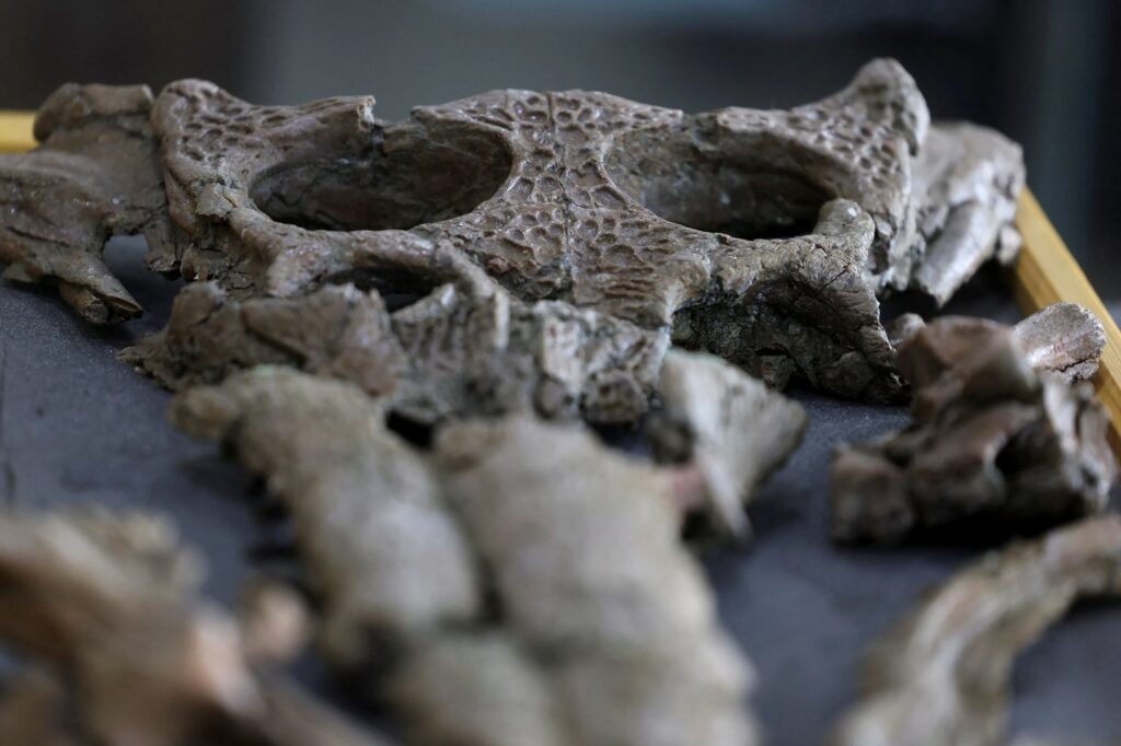 Politics: how woke politics defeats science — slamming the door