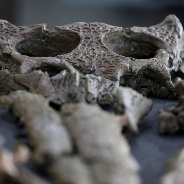 Politics: how woke politics defeats science — slamming the door