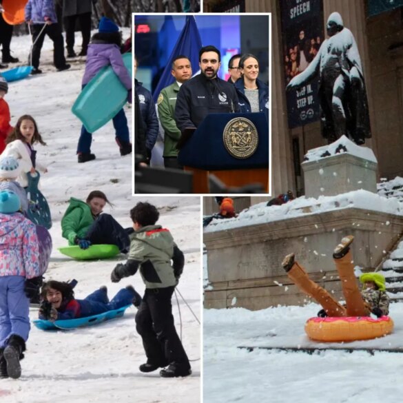 POLITICS: Making kids do remote schooling on 'snow days' sucks