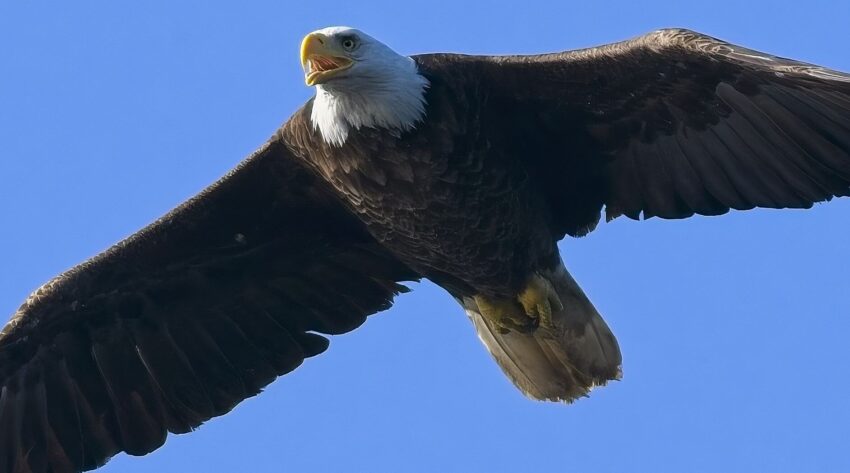 Politics: reader’s links for january 5th, 2026 – ussa news