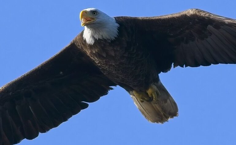 Politics: reader’s links for january 5th, 2026 – ussa news