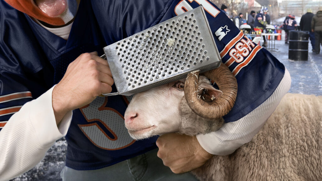 Satire news: drunk bears fan grating ram