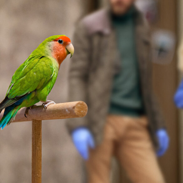 Satire news: study finds 93% of murders solved by consulting