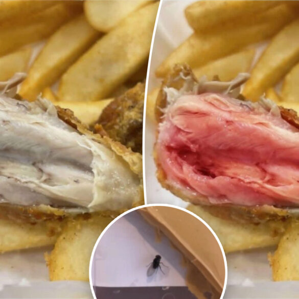 Science & tech: refund fraudsters scamming doordash with 'gross' ai