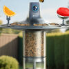 Birdfy Feeder 3 Vista bird feeder camera in a garden