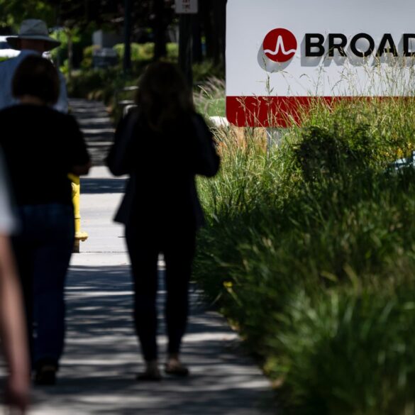 Stock market: top wall street analysts are confident about these