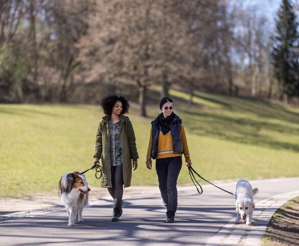 Walking can boost your mood and improve your circulation, experts say.