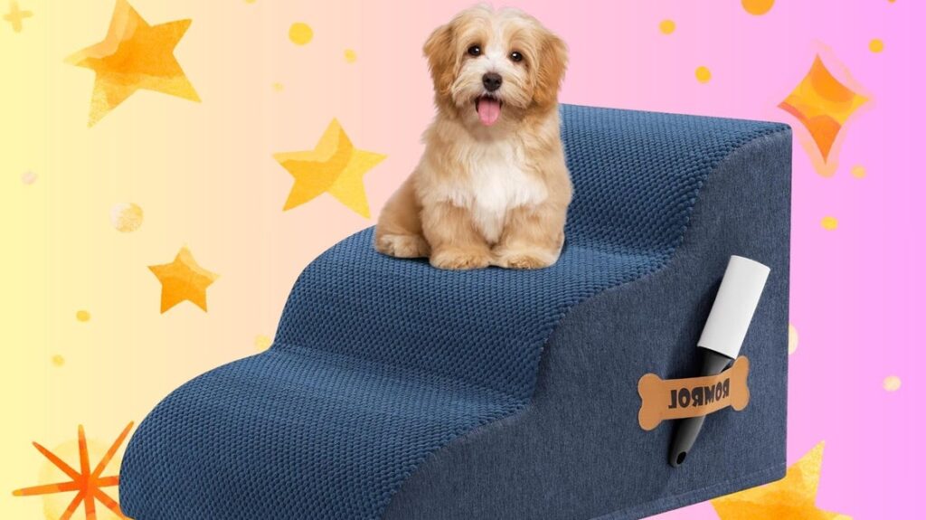 Travel & lifestyle: this $30 bed ramp helps pets with