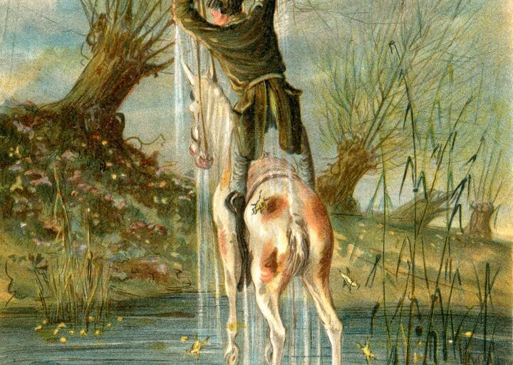 Baron Munchausen's remarkable leap