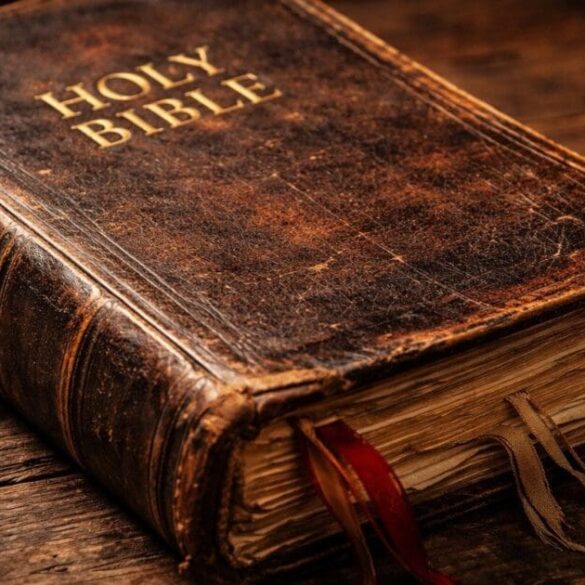 "Humbled, Enlightened and Amazed" - Beloved Actor Says He Finished The Entire Bible * 100PercentFedUp.com * by Danielle