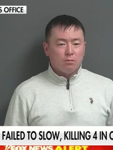 Illegal Alien Truck Driver Who Ran Over Amish Family Was Allegedly Hired By FRAUDULENT Company * 100PercentFedUp.com * by Kaley