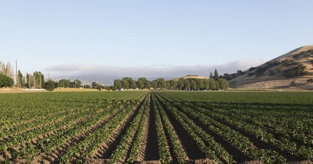 MAHA Announces "Huge" Win After Controversial Provision Removed From Bill In State Legislature * 100PercentFedUp.com * by Danielle