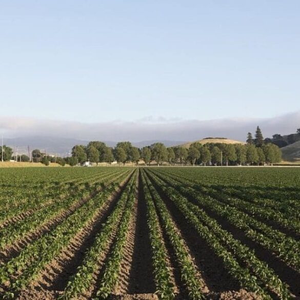 MAHA Announces "Huge" Win After Controversial Provision Removed From Bill In State Legislature * 100PercentFedUp.com * by Danielle