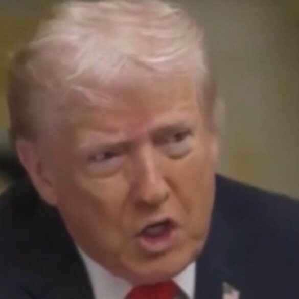 President Trump Says Federal Agents Could Have "Softer Touch" When Conducting Deportation Operations * 100PercentFedUp.com * by Andi