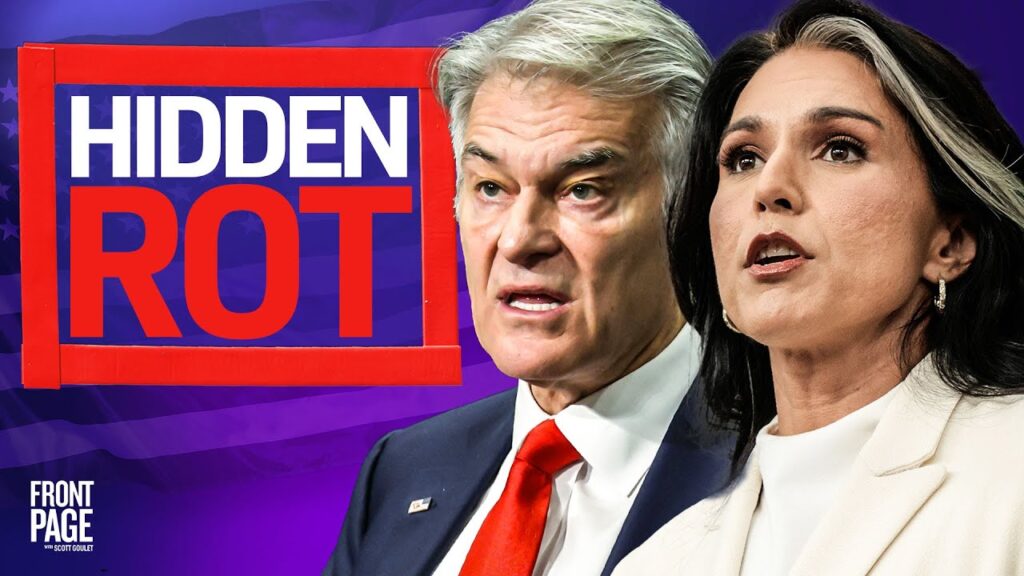 2024 Voter Fraud Conviction; LA Fraud Exposed, New Maine Somali Fraud Info; Tulsi Denies Allegations