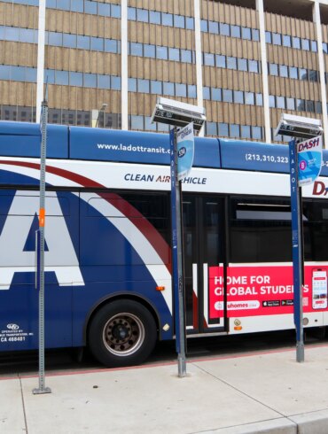 POLITICS: Poopless buses, please