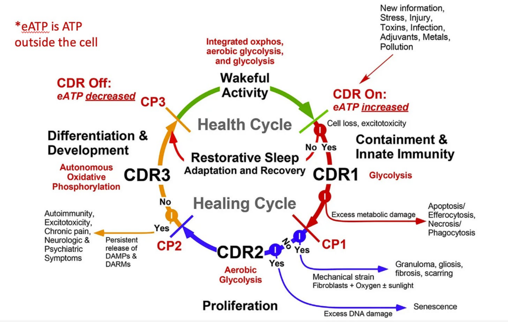 POLITICS: Regenerative Medicine and The Cell Danger Response – USSA