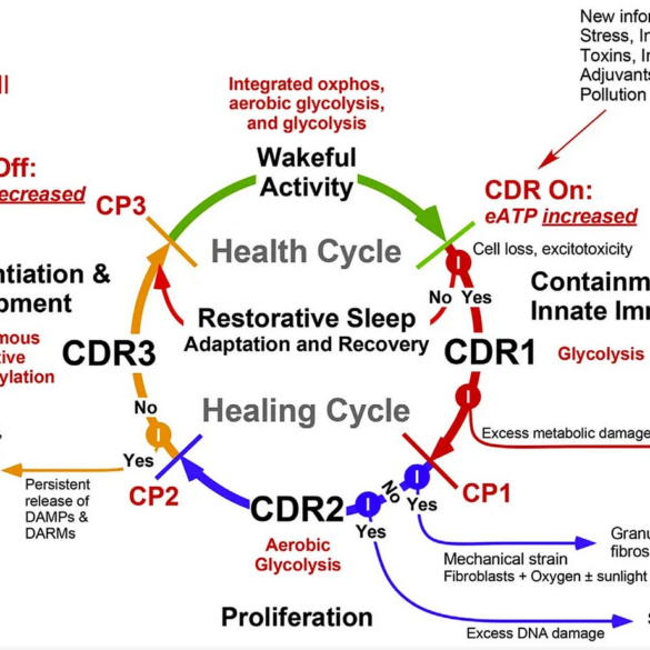 POLITICS: Regenerative Medicine and The Cell Danger Response – USSA